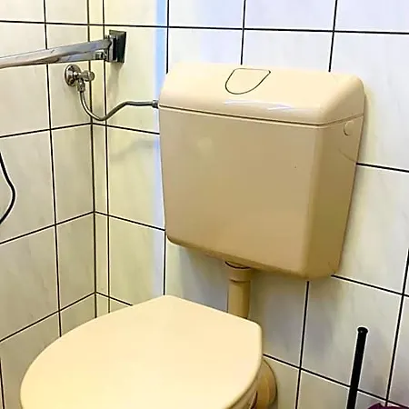 Gold'ne Krone Hotel Oppenheim